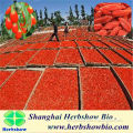 Chinese natural wolfberry seeds for sale